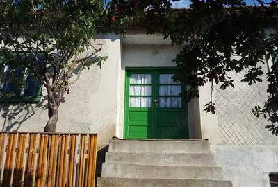 Casa la tara Camena, jud Tulcea - 1
