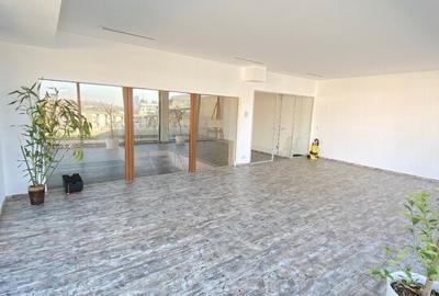 Penthouse Nordului - Complex Persepolis 443 mp utili - 21