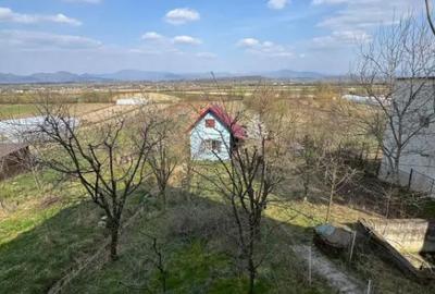 Casă cu 3 camere cu Teren 3300 Mp în Coltău - 7
