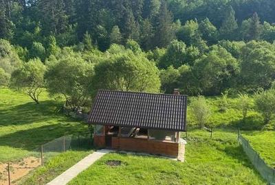 Casă cu 4 camere în Paltin - 8