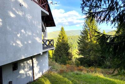 Liniște și natură în inima Bucovinei - 11