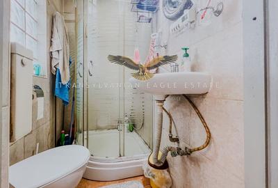 Pet friendly|Apartament primitor situat la vila in Andrei Muresanu - 10