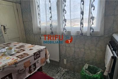 Apartament 2 camere mobilat si utilat zona Carolina Mall - 7