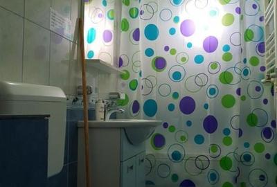 Apartament cu 2 camere semidecomandat în Palazu Mare - 7