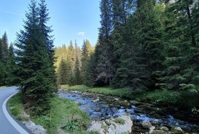 Teren de vanzare la munte pentru  cabana - 3