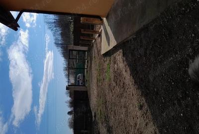 Vand casa cu gradina - 1