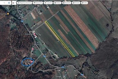 Teren de 11500 mp, în Târgu Neamț - 1