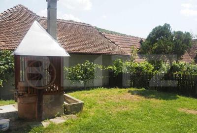 Casa off-grid 5 camere Sangatin - 8