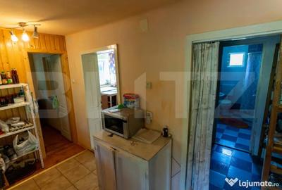 Casă cu 3 camere cu Teren 4000 Mp în Rovina (Brănișca) - 7