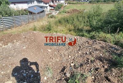 Teren de vanzare zona Piata Cetate 494 mp - 3