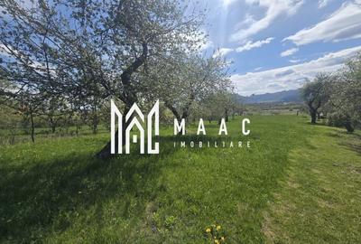 Teren agricol extravilan de 5400 mp, în Orlat - 12