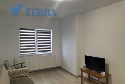 Garsonieră decomandată, mobilată în Mioveni - 1