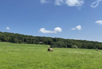 Teren de 4300 mp, în Baciu - 4
