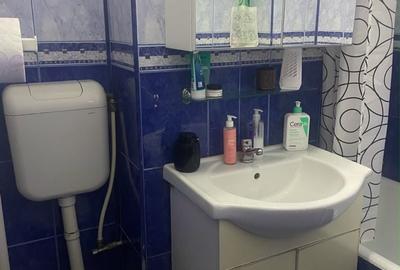 Garsonieră decomandată în Costin Georgian - 12