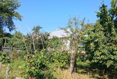 Casa+teren de vanzare in Adancata, Suceava - 10