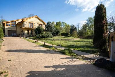 Resita Vila cu Teren 2600 Mp. - 16