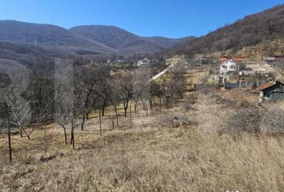 Teren de 1550 mp, în Cetate - 3