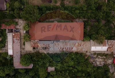 Proprietate specială, de 2,070 mp, în Domnești - 48