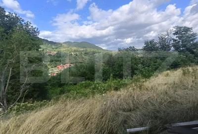 Cabana la rosu 150 mp cu teren de 3500 mp in Ampoita - 3