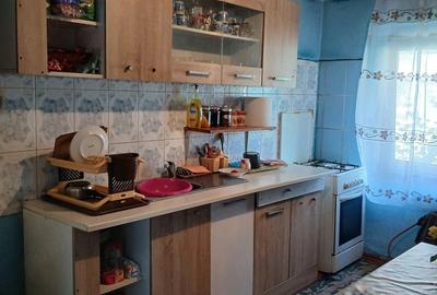 Casă cu 2 camere cu Teren 1200 Mp în Bucinișu - 5