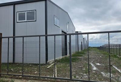Spațiu industrial, de 500 mp, în Moara Domnească - 11