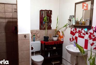 Casă cu 7 camere cu Teren 1458 Mp în Lenauheim - 10