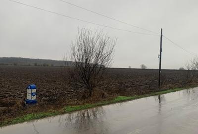 Teren Construcții intravilan de 10000 mp, în Afumați - 18