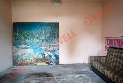 Casă individuală cu 3 camere în Bixad - 14