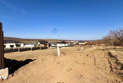 Spațiu comercial, în Central