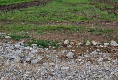 Teren de 5000 mp, în Biharia - 2