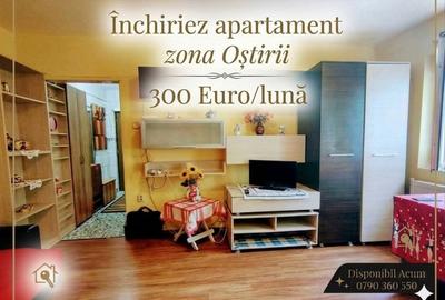 Apartament cu 2 camere nedecomandat în Lotrioara - 3