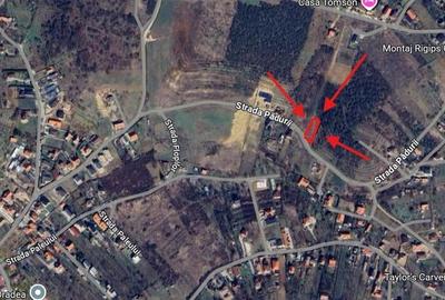 TEREN INTRAVILAN, 950 MP, ZONA PALEU, STRADA PADURII - 3