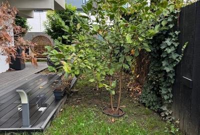 Apartament cu 3 camere decomandat, mobilat în Florilor - 13