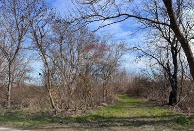 Teren intravilan, de vanzare, Olimp, Novum by the Sea - 4