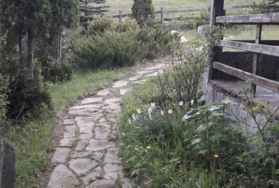 Casă cu 3 camere în Piatra - 4