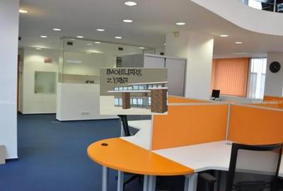 Birou, 290 mp în Cișmigiu - 11