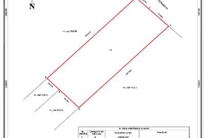 Teren Construcții intravilan de 10000 mp, în Petrești - 2