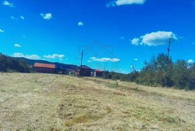 TEREN INTRAVILAN - STRADA AEROPORTULUI\ CARANSEBE?\JUD.C... - 1