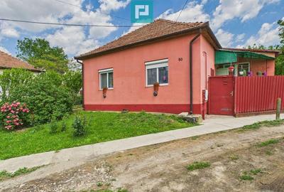 Casa cu 3 camere ?i teren generos langa frontiera - 2