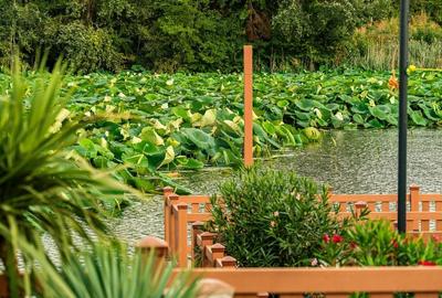 Casă individuală cu 4 camere cu Canalizare în Tâncăbești - 29