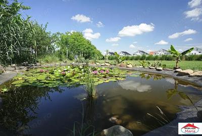 Casa cu teren 10 arii cu casa pe cadre metalice zona Panait Cerna - 9