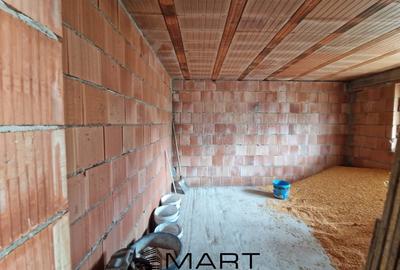 Casa la rosu in Sura Mare - 16