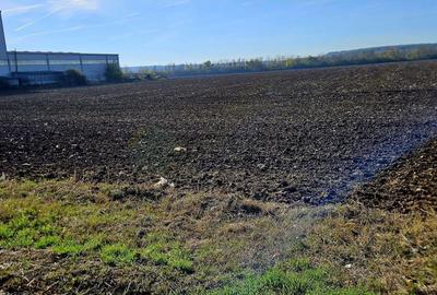 Teren intravilan 15.000 mp – DN2 Afumați - 9