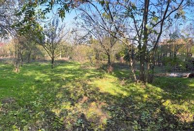 Casă cu 2 camere în Călugăreni - 4