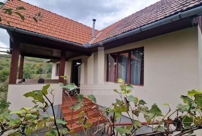 Casă individuală cu 3 camere cu Teren 1390 Mp în Cetea - 3