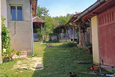 Casa + bucatarie de vara+gradina - 4