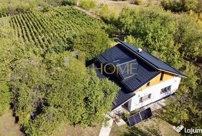 Casă cu 3 camere cu Teren 9500 Mp în Valea Călugărească - 16