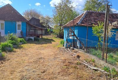 Casă cu 3 camere în Borod - 1