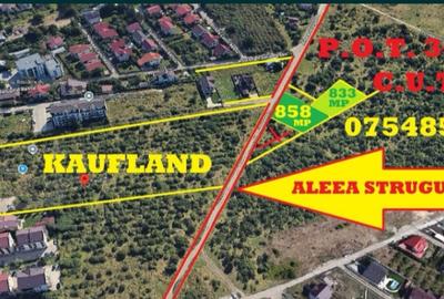 Galata,exact in spate la KAUFLAND din ?oseaua Ia?i Voine?ti,teren 858m - 1