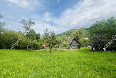 Teren intravilat de 1811 mp situat in Sibiel judetul Sibiu - 3